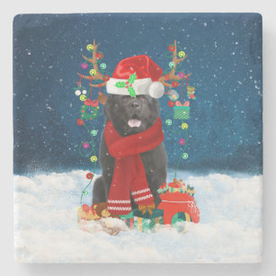 Newfoundland dog with Christmas gifts  Stone Coaster