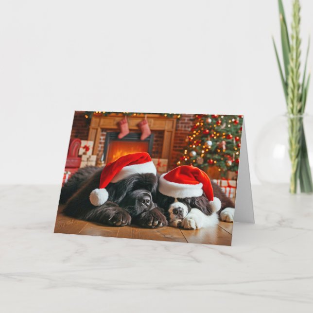 Newfoundland Dogs Asleep Christmas Card (Front)