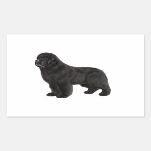 Newfoundland Drawing Sticker