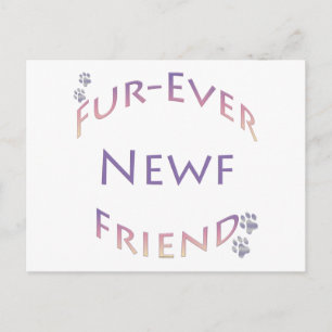 Newfoundland Fur-ever Friend Postcard