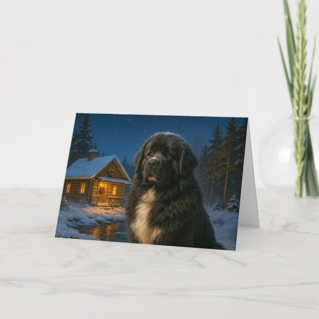 Newfoundland Holiday Card (Front)