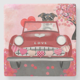 Newfoundland in car with hearts stone coaster