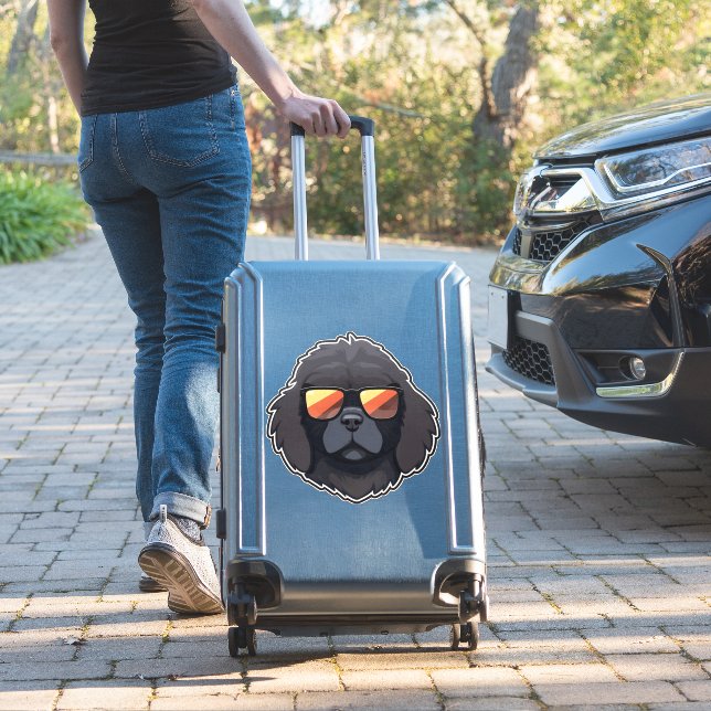 Newfoundland in Cool Sunglasses Classic T-Shirt (Suitcase Insitu)