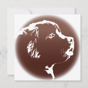 Newfoundland Invitations Personalized Dog Card
