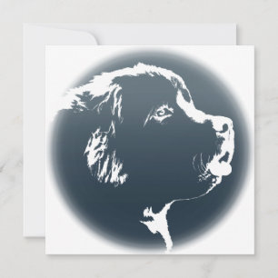 Newfoundland Invitations Personalized Dog Card