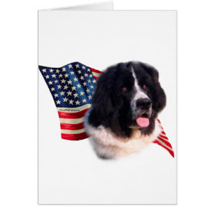 Newfoundland (landseer) Flag