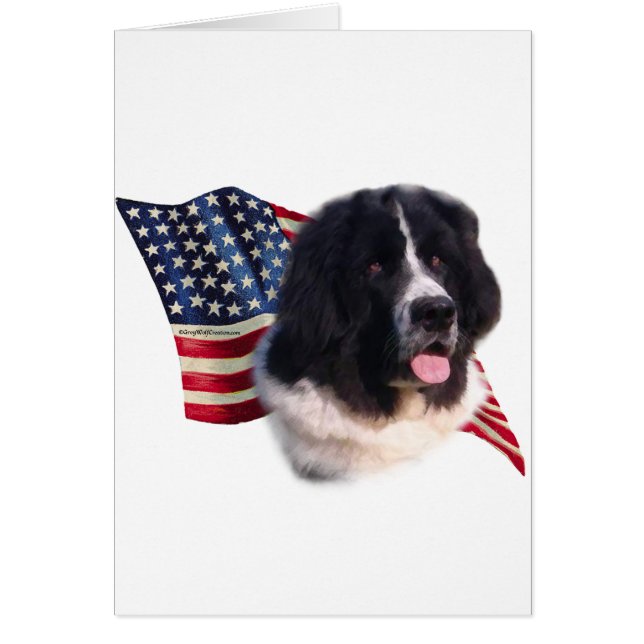 Newfoundland (landseer) Flag (Front)