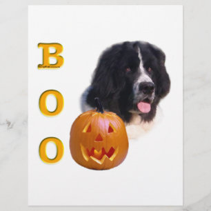 Newfoundland Landseer Halloween Boo