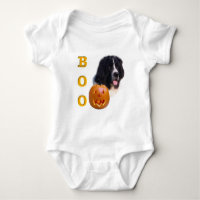 Newfoundland (landseer) Halloween Boo