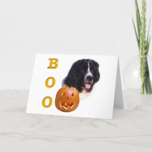 Newfoundland (landseer) Halloween Boo Card