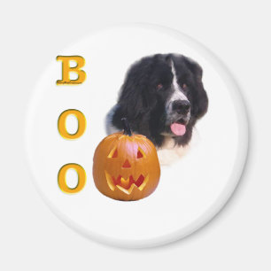 Newfoundland Landseer Halloween Boo Magnet