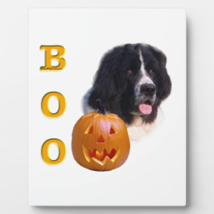 Newfoundland Landseer Halloween Boo Plaque