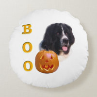 Newfoundland Landseer Halloween Boo