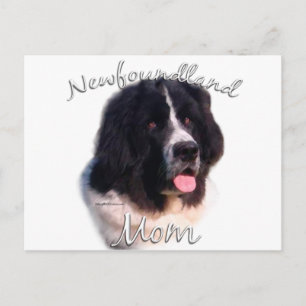 Newfoundland (landseer) Mom 2 Postcard