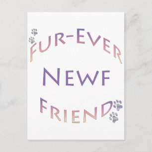Newfoundland Love at First Lick Postcard