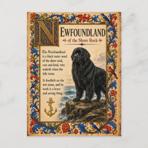 Newfoundland, Medieval Bestiary Art Postcard