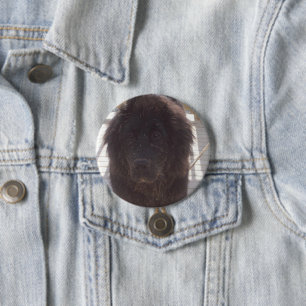 Newfoundland Muddy Puppy 3 Inch Round Button