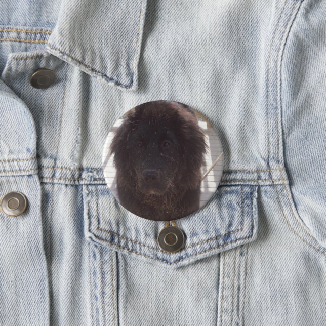 Newfoundland Muddy Puppy 3 Inch Round Button (In Situ)