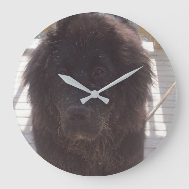 Newfoundland Muddy Puppy Large Clock (Front)