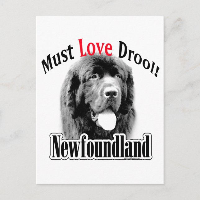 Newfoundland Must Love Drool Postcard (Front)