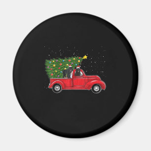 Newfoundland on red car truck   xmas gift magnet