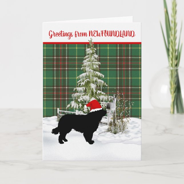 Newfoundland Original Provincial Tartan Holiday Card (Front)
