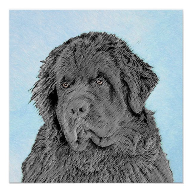 Newfoundland Painting - Cute Original Dog Art Poster (Front)