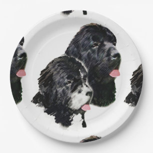 newfoundland painting.png paper plate