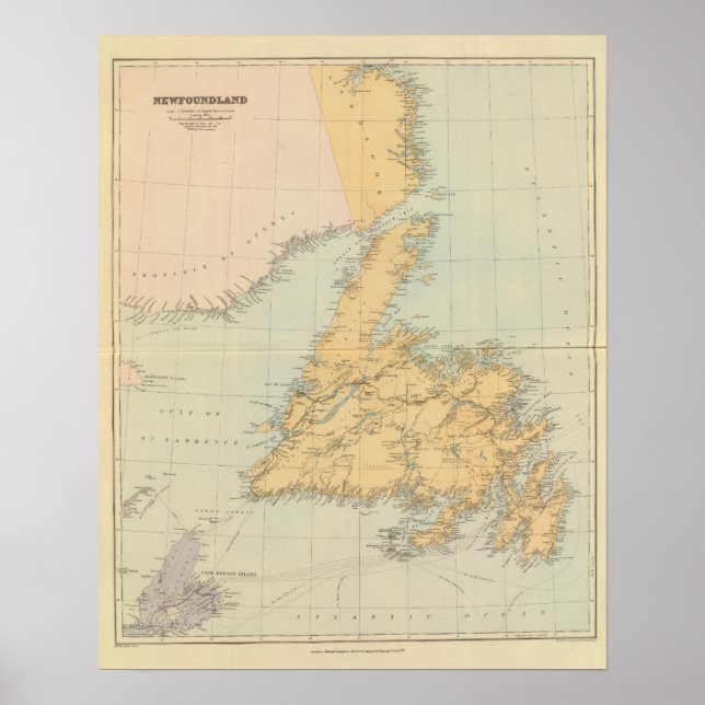 Newfoundland Poster (Front)