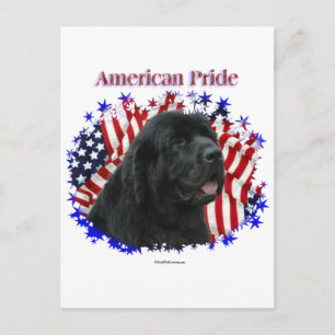 Newfoundland Pride Postcard