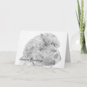 Newfoundland pup holiday card