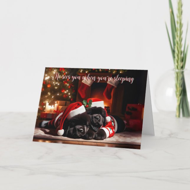 Newfoundland Puppies Sleeping Christmas Card (Front)