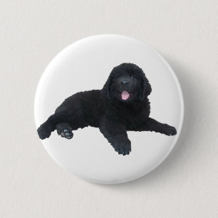 Newfoundland Puppy 2 Inch Round Button