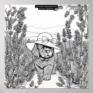 Newfoundland Puppy Dog in a Lavender Flower Field Poster