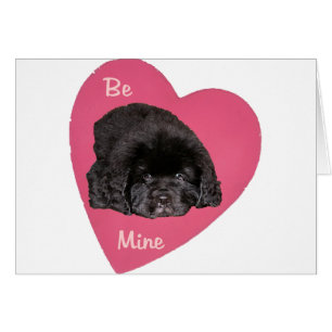 Newfoundland Puppy Dog Love Heart