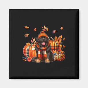 Newfoundland Thanksgiving Leopard Pumpkins Fall Le Magnet