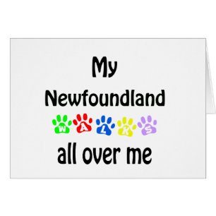 Newfoundland Walks Design