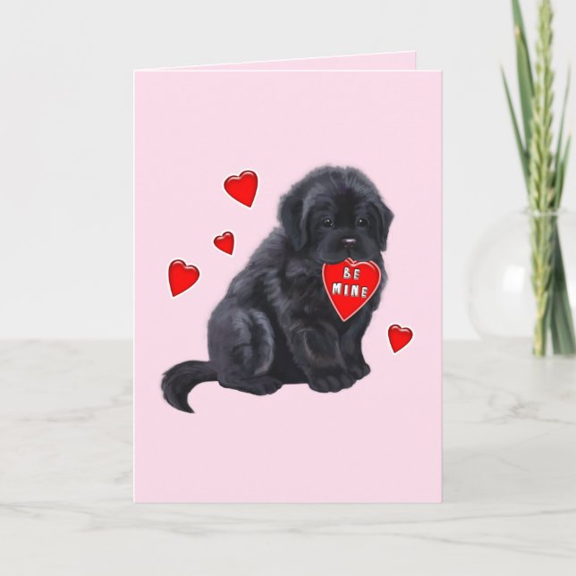Newfoundland with Heart Valentine's Day Holiday Card (Front)