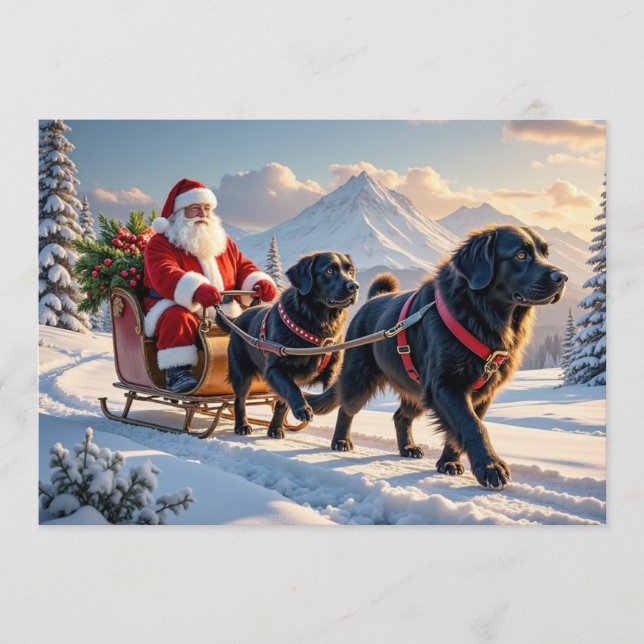 Newfoundlander Christmas Card (Front)