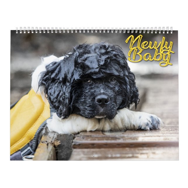 Newfy Baby Calendar (Cover)