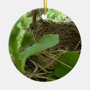 Newly Built but Empty Bird Nest in a Mulberry Tree Ceramic Ornament