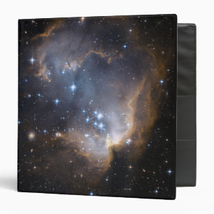 Newly formed stars binder