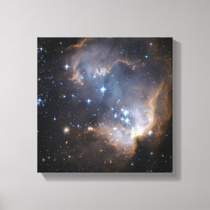 Newly formed stars canvas print