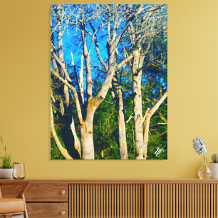 Newman Rd Whidbey Island Trees #1 Canvas Print