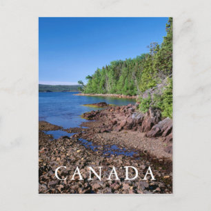 Newman Sound Vertical Postcard