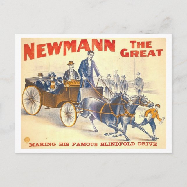 Newmann's Great Blindfold Drive Poster Postcard (Front)