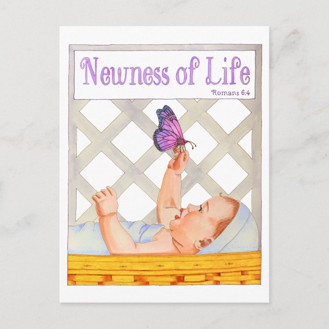 Newness of Life Inspirational Postcard (Front)