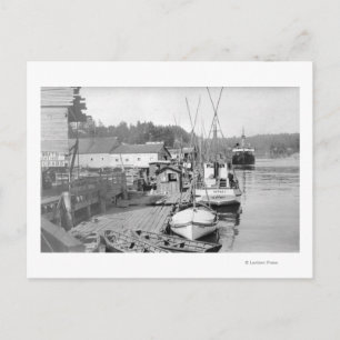 Newport, Oregon Waterfront View of Fishing Boats Postcard