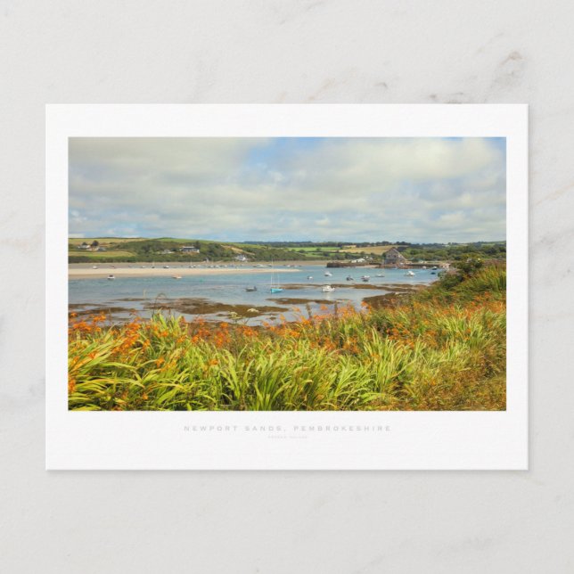 Newport Sands, Pembrokeshire Postcard (Front)
