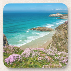 Newquay beach in North Cornwall wild flowers cliff Coaster